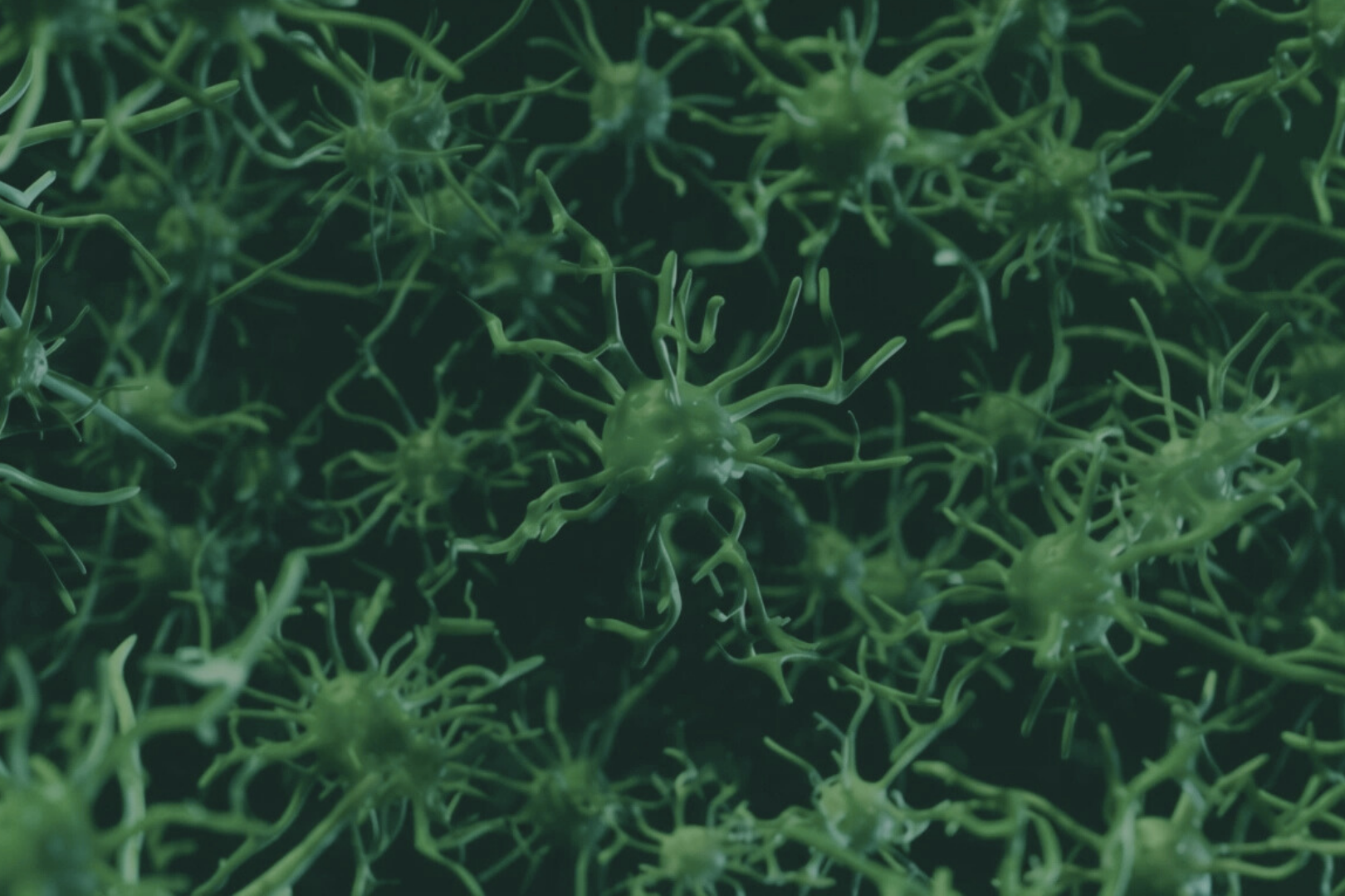 An Enduring Epidemic: Infectious Disease in Southeast Asia